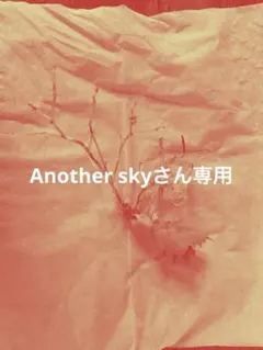 2026年最新】アガベ ハイブリッドの人気アイテム - メルカリ