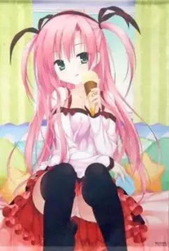 げっちゅ屋ポイント交換品　こぶいち　B2タペストリー
