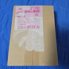 ブラックボルト　拡張パックデラックス 新品未開封ボックス　シュリンクつきボックス