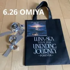 2026年最新】luna sea slaveシートの人気アイテム - メルカリ
