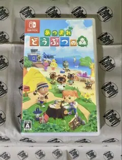 あつまれ どうぶつの森 Nintendo Switch