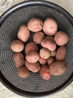 chococoa様 リクエスト 2点 まとめ商品