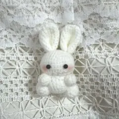 白うさぎᙏ̤̫͚ あみぐるみ