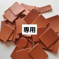 専用