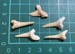 Item thumbnail for item 17415cdd-31ec-497c-aa9b-6d608d79f2b0