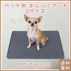 Item thumbnail for item e57b10e4-5ce9-4d9d-9691-64b84c93a574