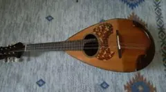 ROKUTARO NAKADE マンドリン A40 1973年 ケース付き - メルカリ