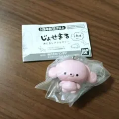 じょせまる いちごみるく めじるしアクセサリー⭐