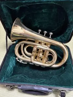 2025年最新】ポケット トランペットの人気アイテム - メルカリ