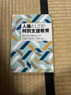 人権としての特別支援教育