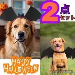小型犬　犬 ハロウィン コスプレ カチューシャ 羽 こうもり コウモリ ペット服