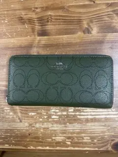 Item thumbnail for item fa5af7a3-de66-4b22-b0de-460cfc8026d4