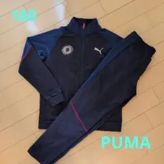 PUMA ジャージセット 160サイズ ネイビー