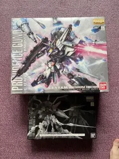 2026年最新】MG プロヴィデンスガンダム プレミアムエディションの人気