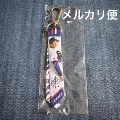 中日ドラゴンズ　田中　ミニボンフィン　ガチャ　キーホルダー　田中幹也