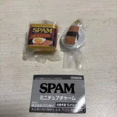 スパム　ミニチュアチャーム　2点セット