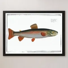2025年最新】鮭の絵画の人気アイテム - メルカリ