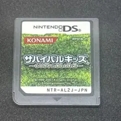 【動作確認済】サバイバルキッズ Lost in Blue2 DSソフト