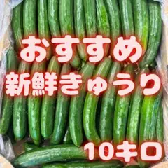 長なす箱込み約７キロ＋きゅうり箱込み約１０キロのセット 長なす箱込み約7キロ＋きゅうり箱込み約10キロのセット - メルカリ