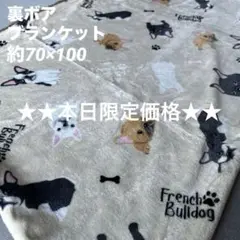 ★本日限定価格★ フレンチブルドッグ　フレブル　裏ボアブランケット　ベージュ