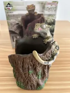 クレステッドゲッコー