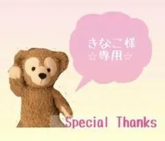 きなこ様 リクエスト 2点 まとめ商品