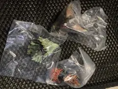 一番くじ ウルトラマンシリーズ 怪獣超大全 vol.2 F賞 怪獣頭鑑 3種