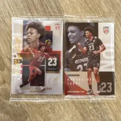 バレーボール 男子日本代表 ツインウエハース エバデダン・ラリー 2枚セット
