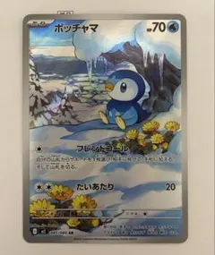 ポッチャマ AR 10枚セット ポケモンカード ポッチャマ」の人気商品一覧 | 安い商品を通販