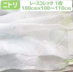 ニトリ 1枚 100×100cm レースカーテン 緑 葉 ボタニカル 植物