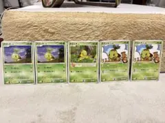 ナエトル 포켓몬 カード 5枚セット