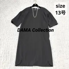 美品】 ダーマコレクション タックブラウス ブラウス ノーカラー 半袖