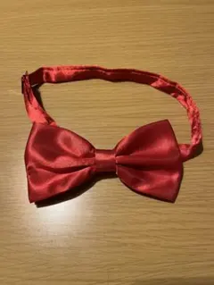 Item thumbnail for item e5628c6c-bc1a-4a4a-9925-a016220f1a70