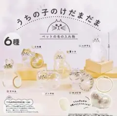 【6個セット】猫 キーホルダー メモリアル 毛入れ ペット遺毛ケース ねこ 透明