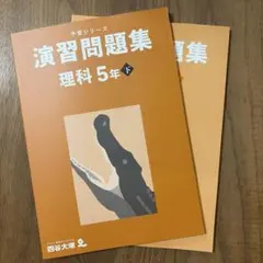 キウイ様 リクエスト 4点 まとめ商品