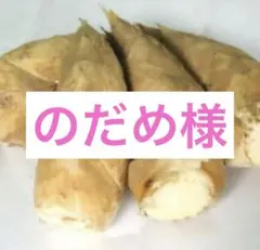 のだめ様　京都山城産　朝掘り筍一箱目　4kg