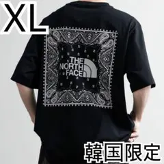 希少 2XL 韓国限定 ノースフェイス ロゴ ステッチ Tシャツ グレーXXL