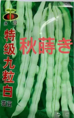 採れたて新鮮 モロッゲンと白インゲン750g 採れたて新鮮 白インゲン700g - メルカリ