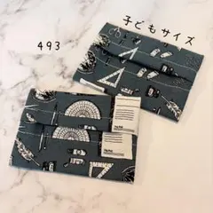 （493）ミニサイズ　ポケットティッシュケース　２個セット