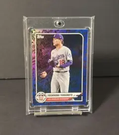 Item thumbnail for item 831bcc83-0e0b-461f-a39b-c4a419e58b73