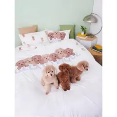 2025年最新】ジェラートピケ トイプードル マルチカバーの人気アイテム