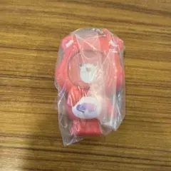 ケアベア フォトフレームマスコット　オールウェイズゼアベア