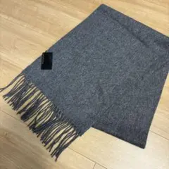 Item thumbnail for item 0170669b-873d-4268-9cad-7f80997d585d