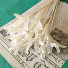 マユ様 リクエスト 2点 まとめ商品