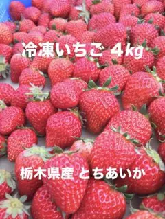 冷凍いちご４kg（栃木県産とちあいか）のサムネイル