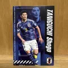 2025年最新】谷口彰悟の人気アイテム - メルカリ