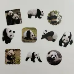 Item thumbnail for item 3d70d778-8415-4cf8-95c7-17ef3fea1d29