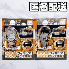 ハイキュー アクリル フィギュア コレクション 第1弾 日向翔陽 影山飛雄