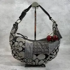 COACH Patchwork Signature Hobo Bag Y2K