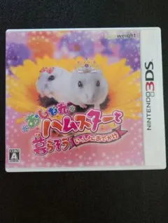 3DS「おしゃれハムスターと暮らそう いっしょにおでかけ」の詳細